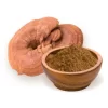 Ganoderma lucidum powder