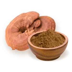 Ganoderma lucidum powder